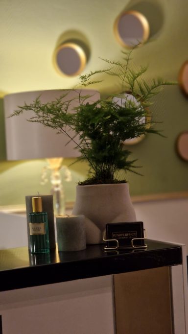 Topfpflanze auf einem Tisch neben einer Lampe und dekorativen Elementen an der Wand.